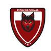 A.F.J COLMAR