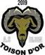 A.S.D TOISON D'OR