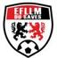 EFLLM