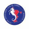 HIPPOCAMPE DE TARBES