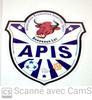 APIS FOOTBALL 1