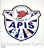 APIS FOOTBALL