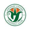 F.C.V.G.