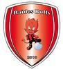 L/LES RAIDES BULLS