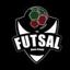 ASSOCIATION FUTSAL V