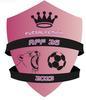 ASSOCIATION FUTSAL F
