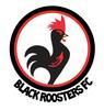 BLACK ROOSTERS