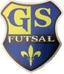 GRANDE SYNTHE  FUTSA