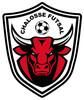 CHALOSSE FUTSAL