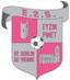 EYZIN ST SORLIN FC