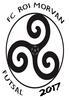 GOURIN FC ROI MORVAN