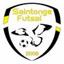 SAINTONGE FUTSAL