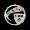 GJ AUNE