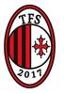 TFS