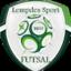 LEMPDES SP FUTSAL