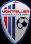MF ACADEMY