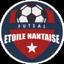 NANTES ETOILE FUTSAL