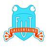 SALLERTAINE FUTSAL