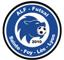 ALF FUTSAL