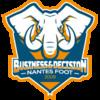 NANTES BUSINESS DEC