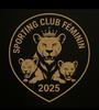 SPORTING CLUB FEMININ DU VAL DE SEINE