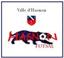 HASNON FUTSAL