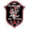 F. C. FELLOW NICE