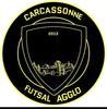 CARCA FUTSAL AGGLO 1