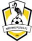 MELTING POTES FC